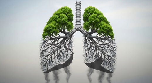 Effects of inspiratory muscle training on lung function, muscle oxygenation and functional capacity in older adults
