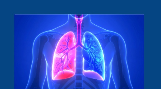 Effects of inspiratory muscle training on lung function, muscle oxygenation and functional capacity in older adults